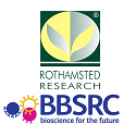 Rosthamsted 125 125